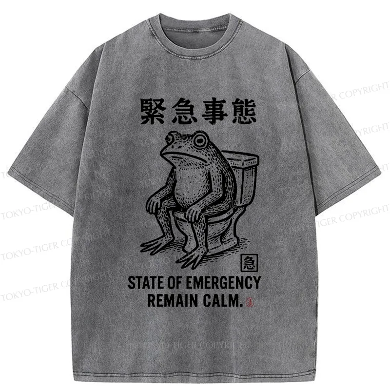 Tokyo-Tiger Funny Remain Calm Frog Washed T-Shirt