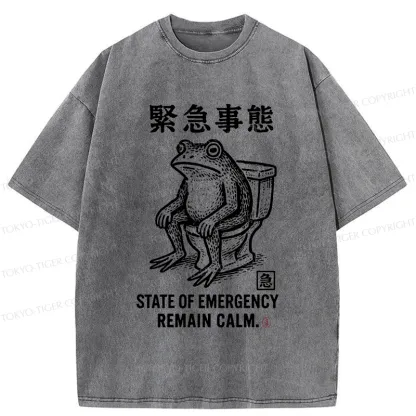 Tokyo-Tiger Funny Remain Calm Frog Washed T-Shirt