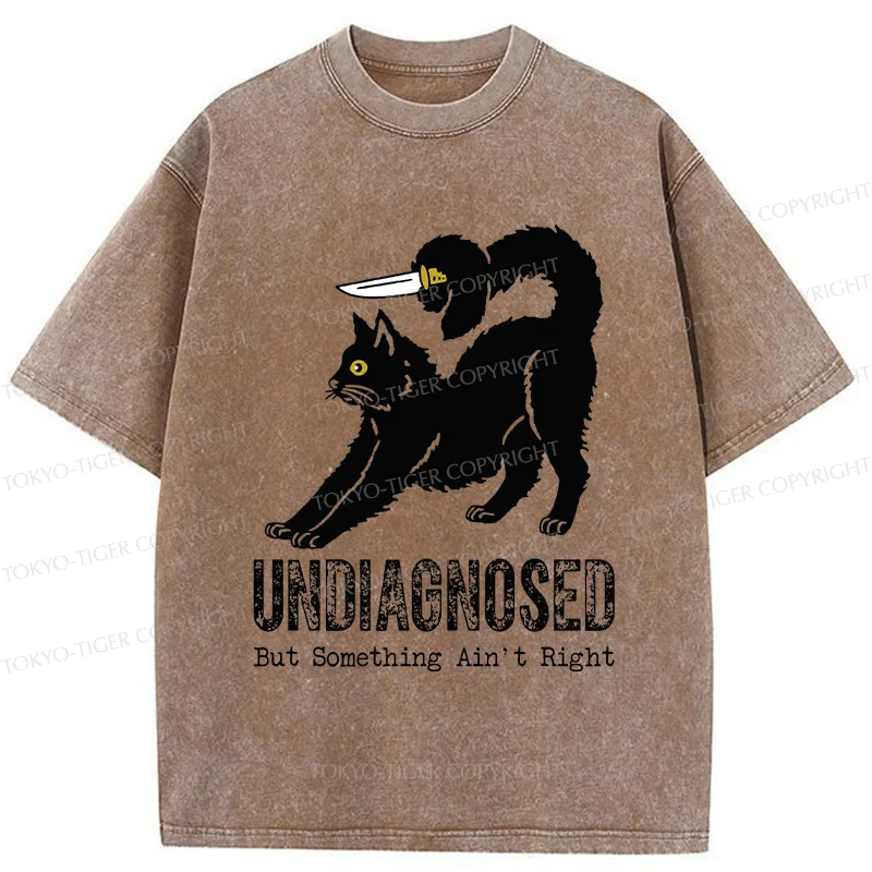 Tokyo-Tiger Cat With Knife Washed T-Shirt