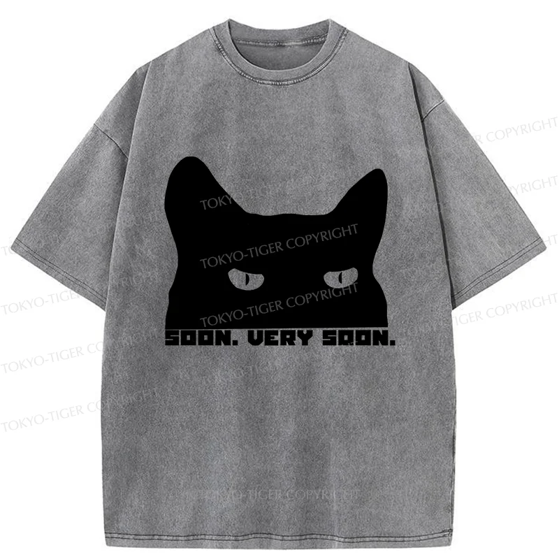 Tokyo-Tiger Cat Watching From Behind Washed T-Shirt