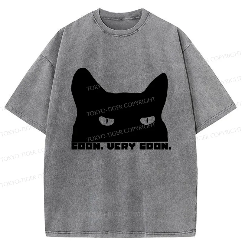 Tokyo-Tiger Cat Watching From Behind Washed T-Shirt
