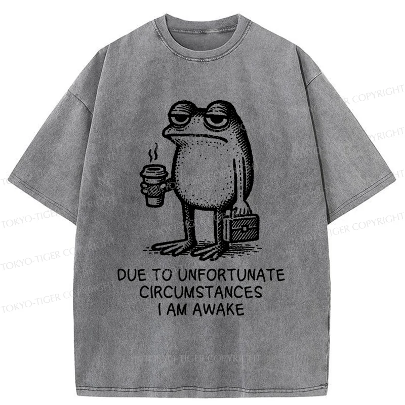 Tokyo-Tiger Decadent Frog Washed T-Shirt