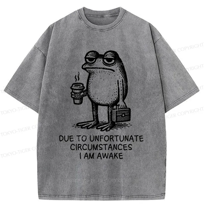 Tokyo-Tiger Decadent Frog Washed T-Shirt