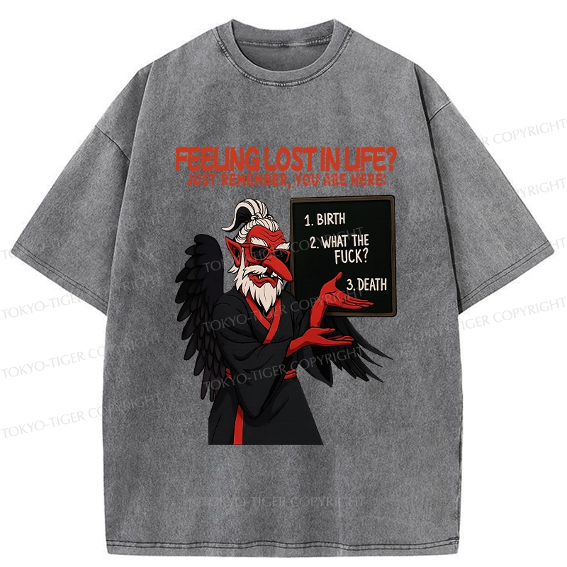 Tokyo-Tiger The Three Stages Of Life Funny Washed T-Shirt