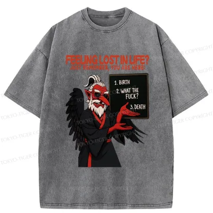 Tokyo-Tiger The Three Stages Of Life Funny Washed T-Shirt