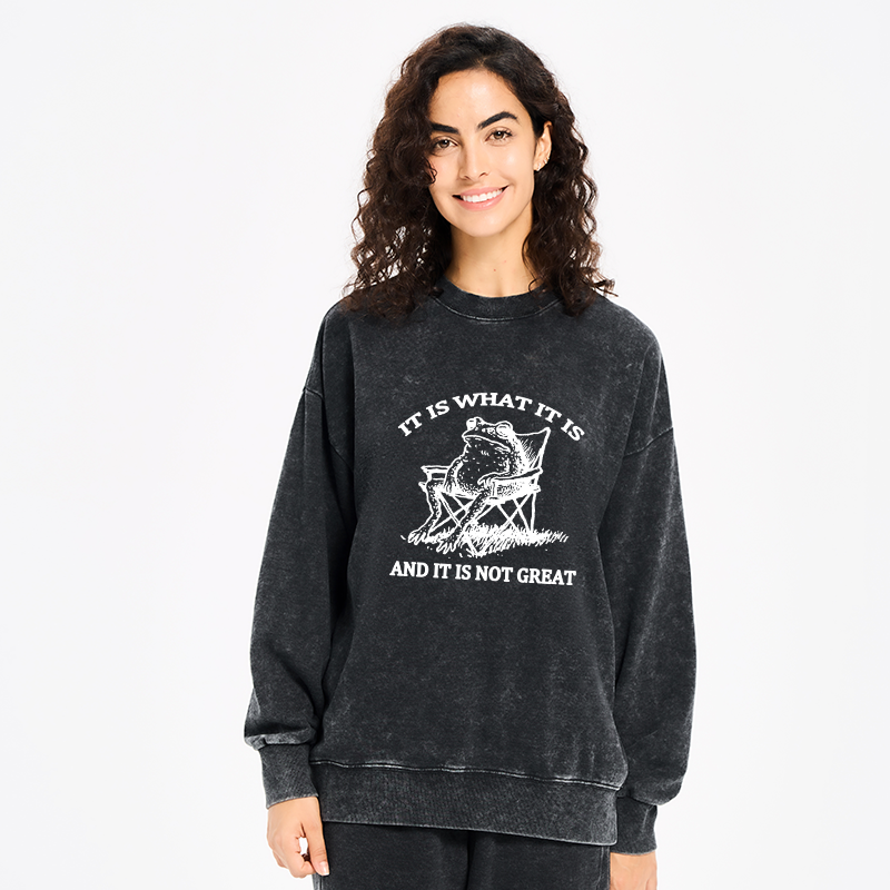 Tokyo-Tiger Resting Frog Funny Washed Sweatshirt