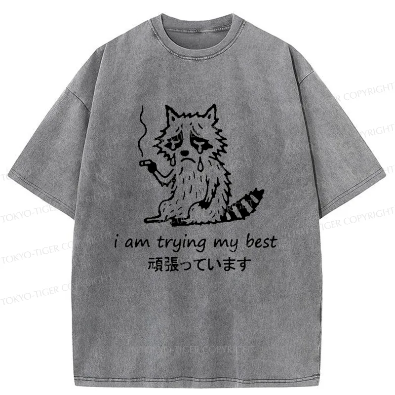 Tokyo-Tiger Raccoon Tried His Best Washed T-Shirt