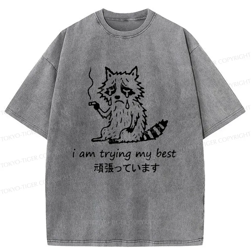 Tokyo-Tiger Raccoon Tried His Best Washed T-Shirt