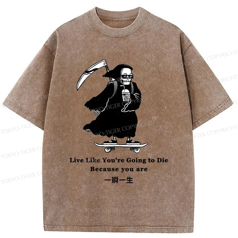 Tokyo-Tiger Death Skateboard Washed T-Shirt