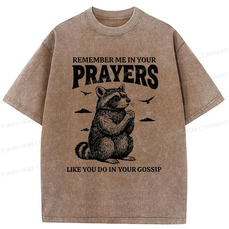 Tokyo-Tiger Raccoon Prayer Washed T-Shirt