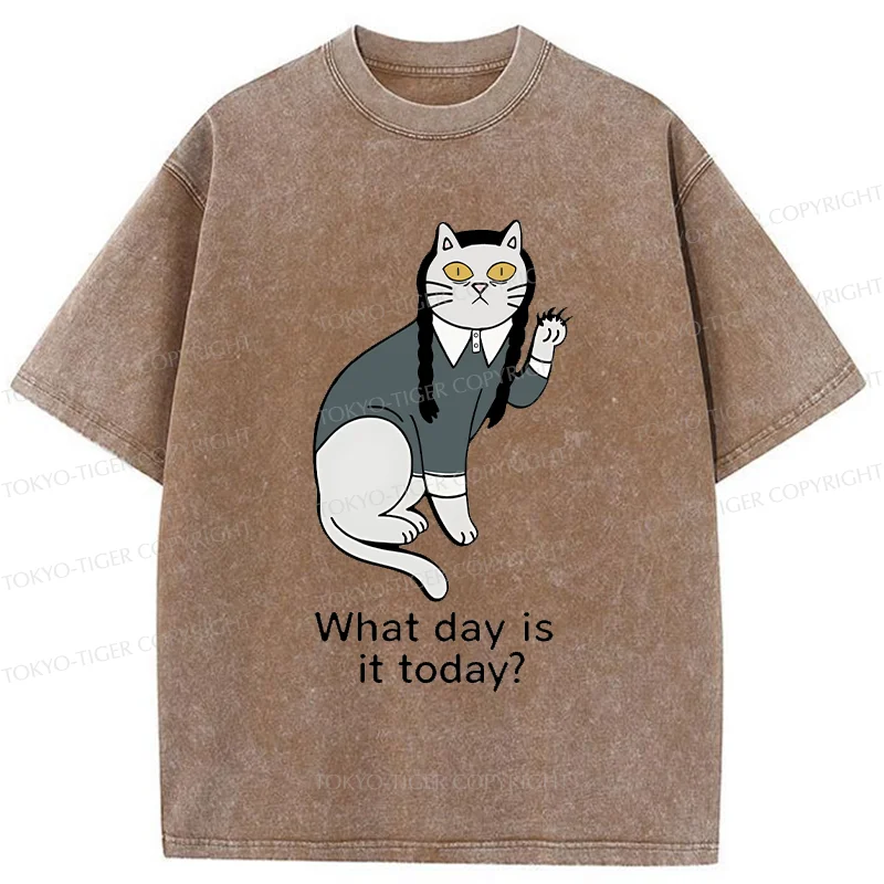 Tokyo-Tiger Cat Girl Funny Washed T-Shirt