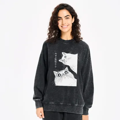 Tokyo-Tiger The Cat Is Watching Today Washed Sweatshirt