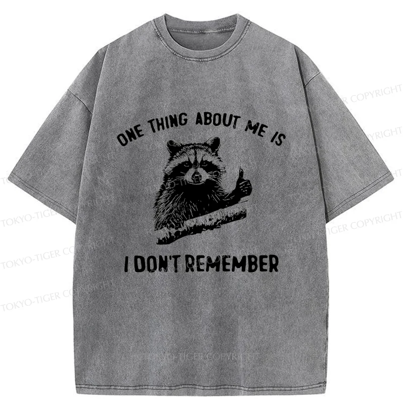 Tokyo-Tiger Amnesiac Raccoon Washed T-Shirt