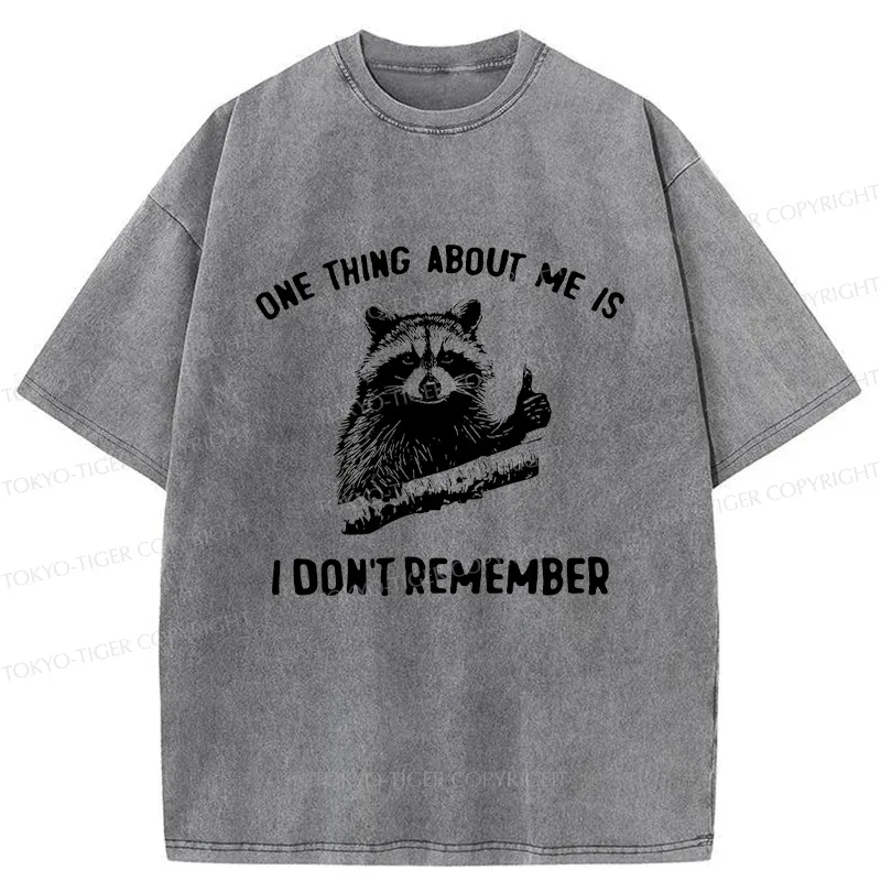 Tokyo-Tiger Amnesiac Raccoon Washed T-Shirt
