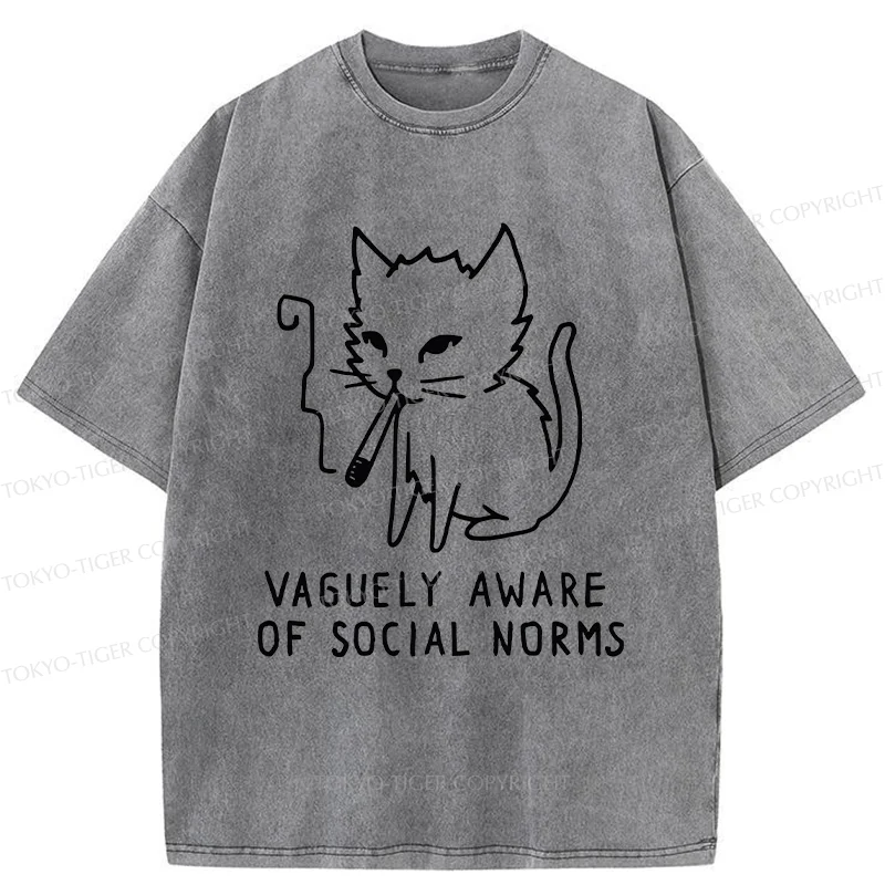 Tokyo-Tiger Uncontrolled Cat Washed T-Shirt