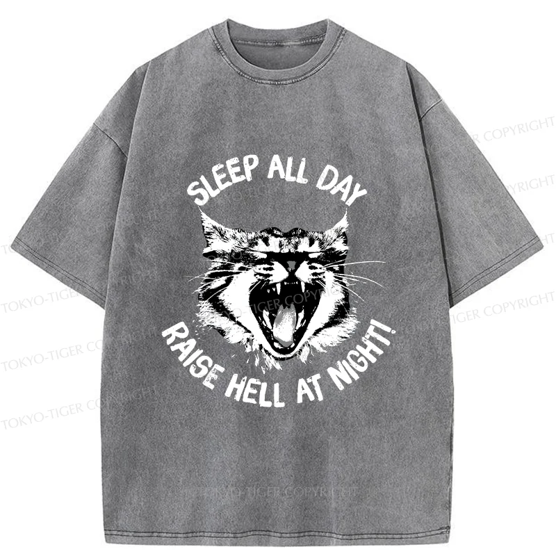 Tokyo-Tiger Cat Wreaking Havoc At Night Washed T-Shirt