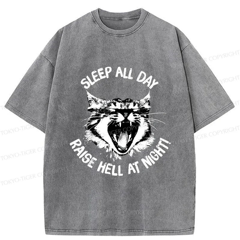 Tokyo-Tiger Cat Wreaking Havoc At Night Washed T-Shirt