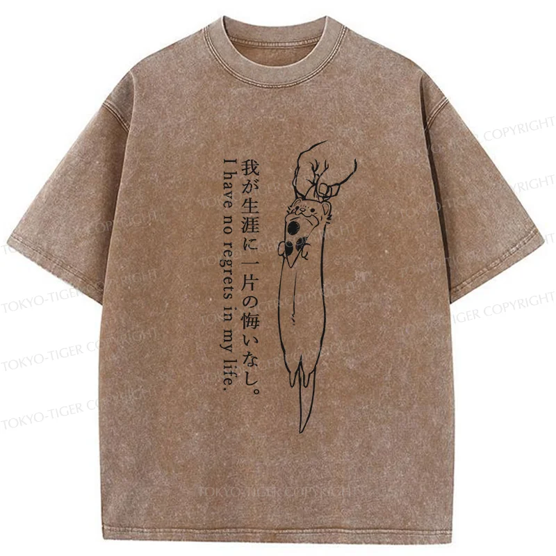 Tokyo-Tiger Captured Ferret Washed T-Shirt