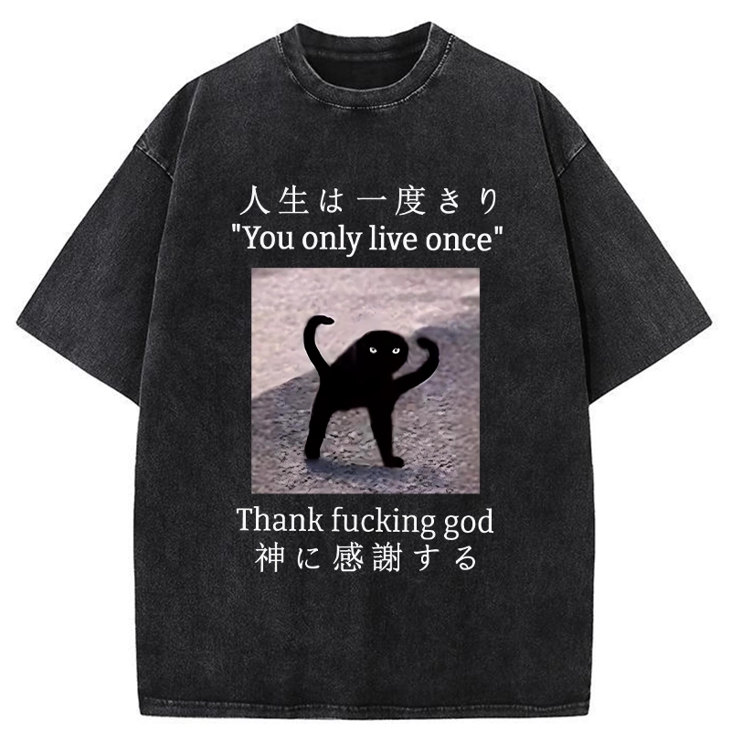 Tokyo-Tiger Funny Mysterious Cat Washed T-Shirt