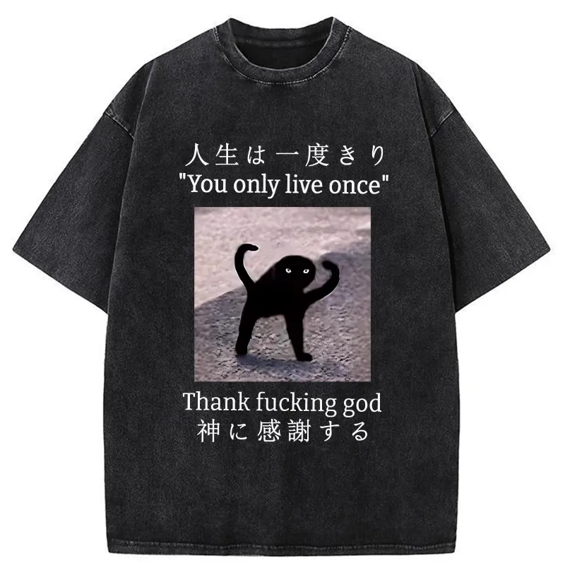 Tokyo-Tiger Funny Mysterious Cat Washed T-Shirt