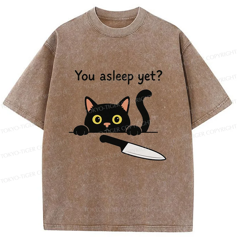 Tokyo-Tiger Cat With Murderous Intent Washed T-Shirt