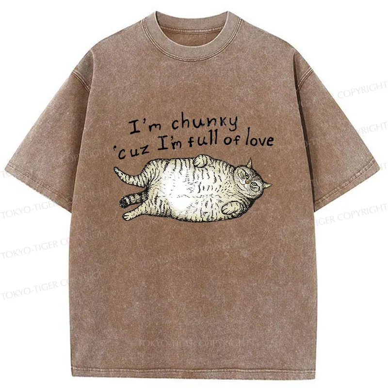 Tokyo-Tiger Fat Cat Funny Washed T-Shirt