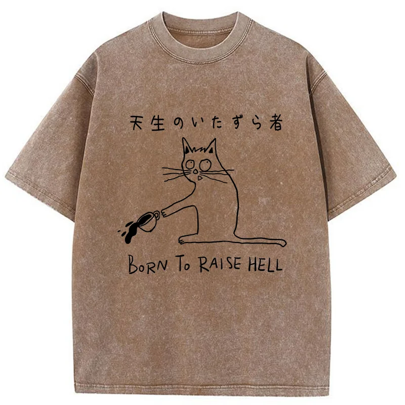 Tokyo-Tiger Trouble Maker Washed T-Shirt