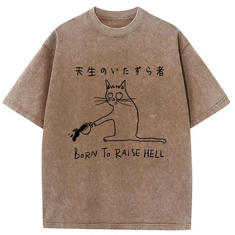 Tokyo-Tiger Trouble Maker Washed T-Shirt
