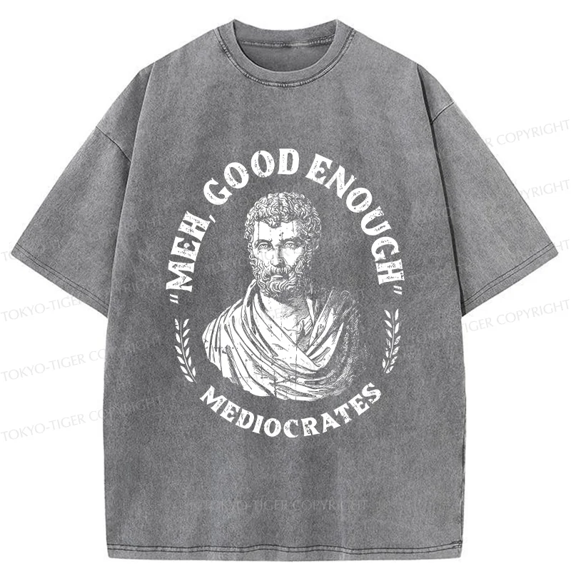 Tokyo-Tiger Socrates Funny Saying Washed T-Shirt