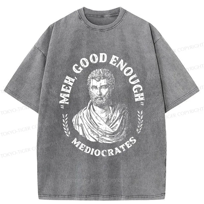 Tokyo-Tiger Socrates Funny Saying Washed T-Shirt Sale