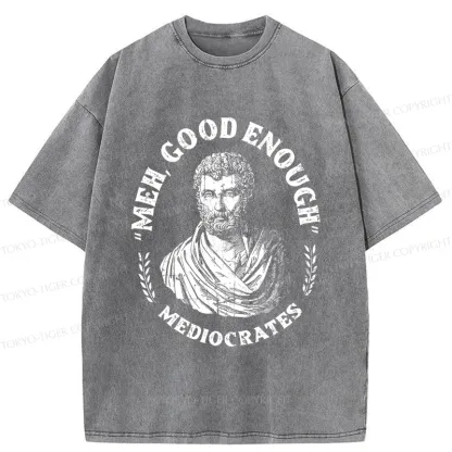 Tokyo-Tiger Socrates Funny Saying Washed T-Shirt