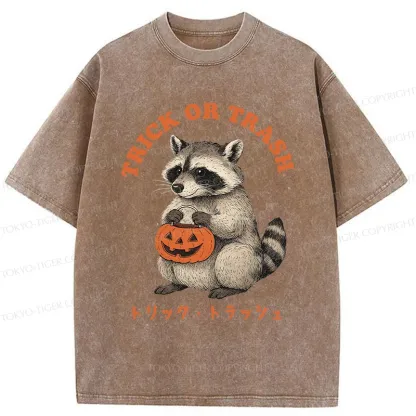 Tokyo-Tiger Halloween Raccoon Washed T-Shirt