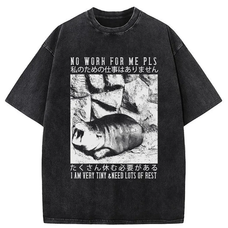Tokyo-Tiger Funny Moo Deng Needs Lots Of Rest Washed T-Shirt