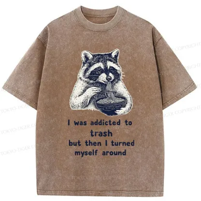 Tokyo-Tiger Raccoon Eating Ramen Japanese Washed T-Shirt