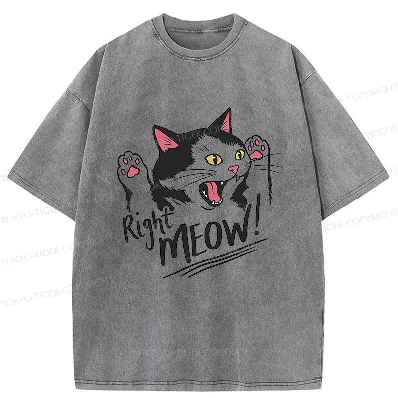 Tokyo-Tiger Right Meow Funny Washed T-Shirt