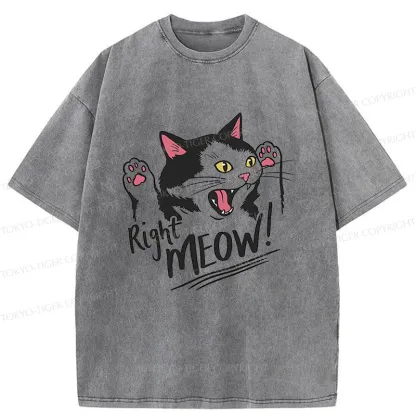 Tokyo-Tiger Right Meow Funny Washed T-Shirt