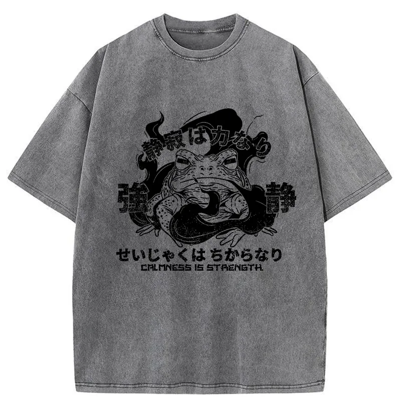 Tokyo-Tiger Calmness Is Strength Washed T-Shirt