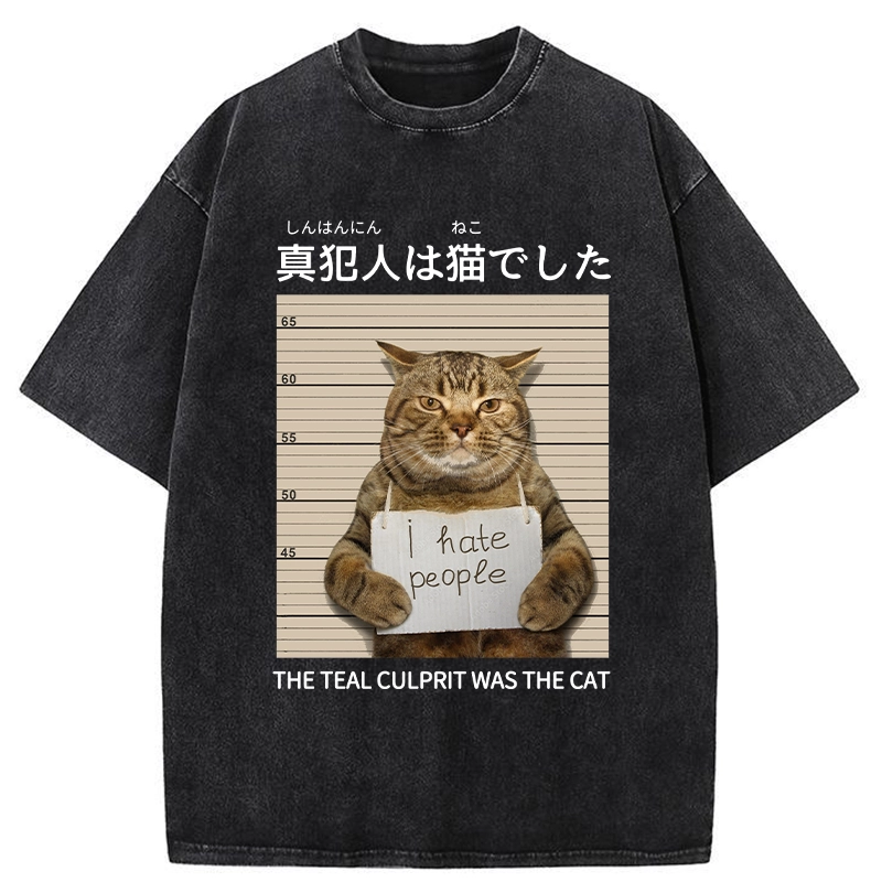 Tokyo-Tiger The Culprit Is The Cat Washed T-Shirt