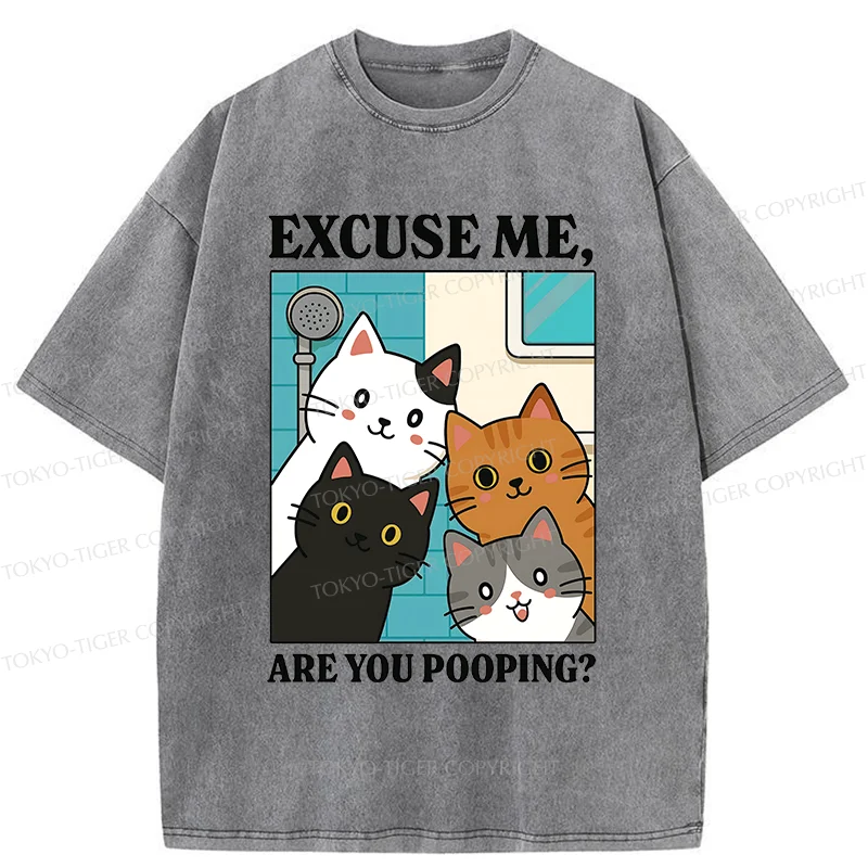 Tokyo-Tiger Cats Is Staring At You Washed T-Shirt