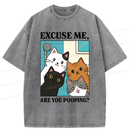 Tokyo-Tiger Cats Is Staring At You Washed T-Shirt