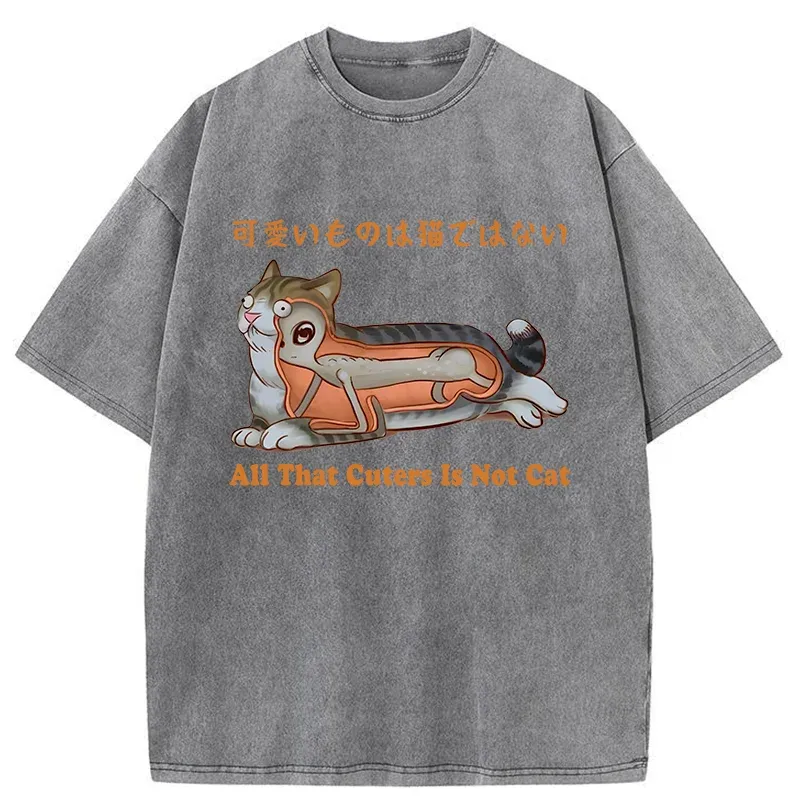 Tokyo-Tiger All That Cuters Is Not Cat Washed T-Shirt