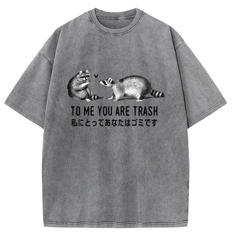 Tokyo-Tiger Raccoon Courting Washed T-Shirt
