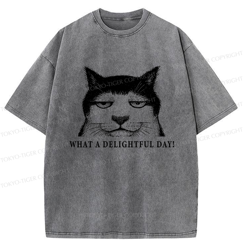 Tokyo-Tiger The World-Weary Cat Washed T-Shirt