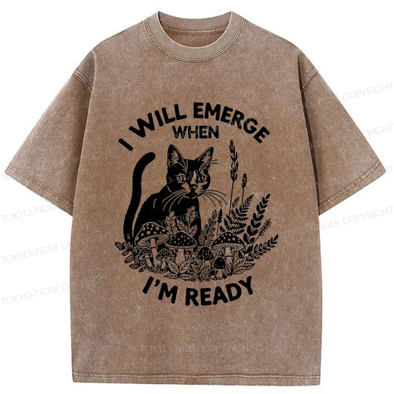 Tokyo-Tiger Cat Ready To Appear Washed T-Shirt