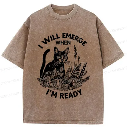 Tokyo-Tiger Cat Ready To Appear Washed T-Shirt