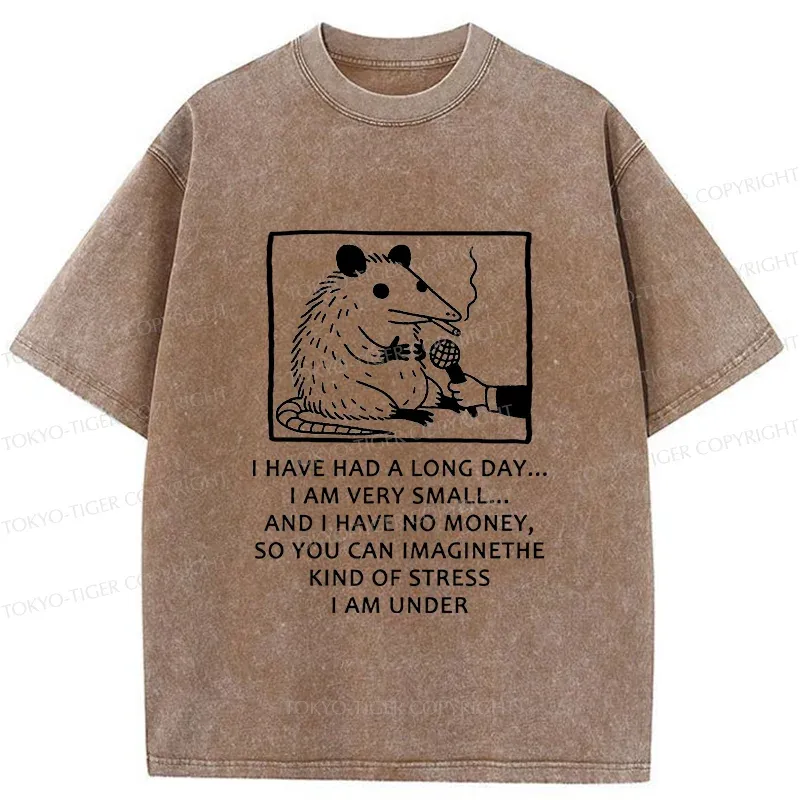Tokyo-Tiger Contemporary Possum Interview Washed T-Shirt
