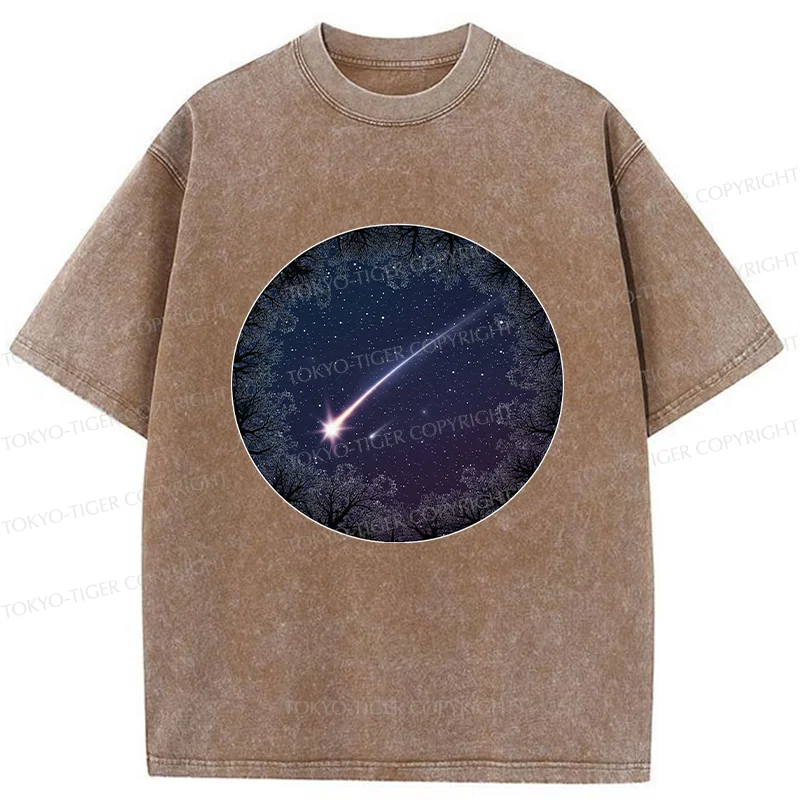 Tokyo-Tiger Beautiful Meteor Washed T-Shirt