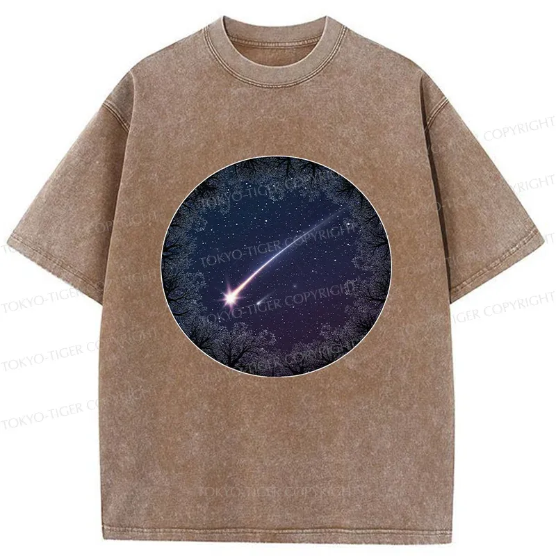 Tokyo-Tiger Beautiful Meteor Washed T-Shirt