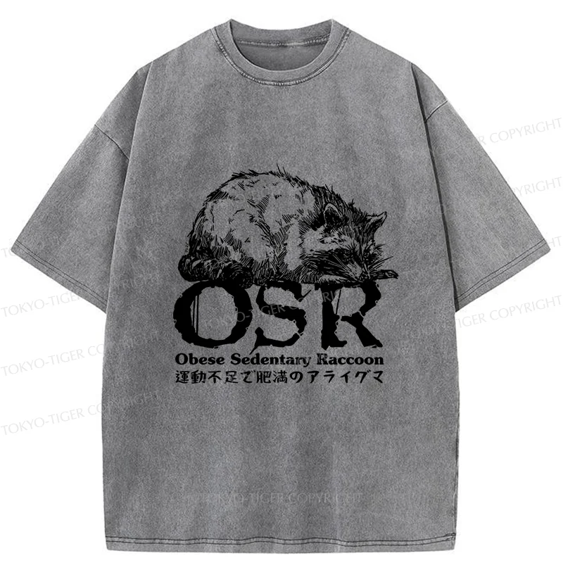 Tokyo-Tiger Fat Raccoon Washed T-Shirt
