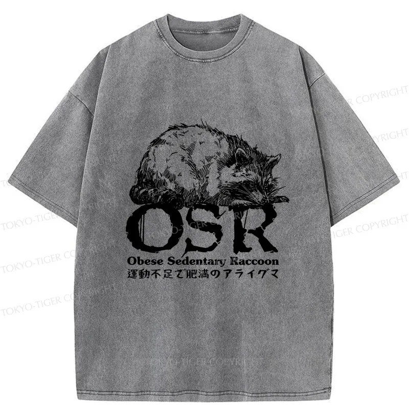 Tokyo-Tiger Fat Raccoon Washed T-Shirt